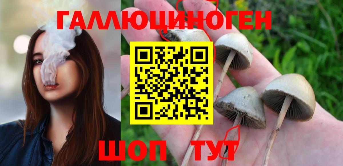 Галлюциногенные грибы мицелий  Псилоцибиновые грибы мухоморы  Вход с VPN  купить наркоту  Муравленко 